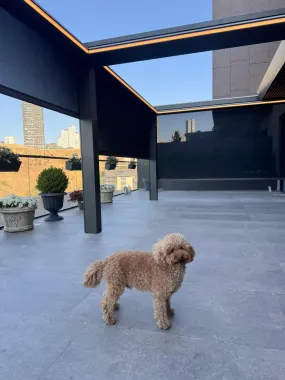 Pergo Perde Istanbul Bayisinin Ankara Montajı (4)